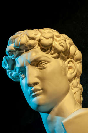 Gypsum copy of head statue David in bright neon colors for artists on a dark background. Face famous sculpture youth of David by Michelangelo. Template design for dj, fashion, poster, zine, collage.の写真素材