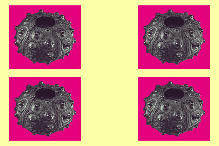 Contemporary art background with colored shell. Digital texture backdrop. Trendy art, creative fun culture. Contemporary neural network art poster. Funky punk conch collage. Creative concept pop art.の写真素材