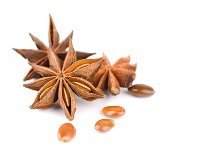 anise stars and beans on white backgroundの写真素材