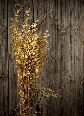 Yellow wheat on wooden background  top viewの写真素材