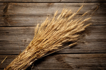 Grains  of Wheat on wooden background close up の写真素材