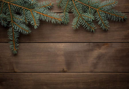 Christmas decoration. Blank scroll for text between fir twigs on dark backgroundの写真素材