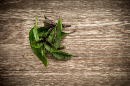 Leaves of basil on a old wooden table.の写真素材