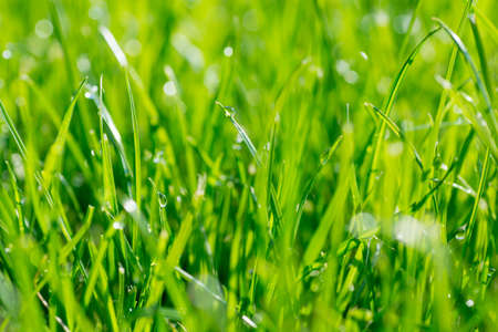 Under the bright sun. Abstract natural backgrounds.