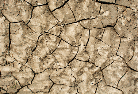 Cracked ground,Dry land. Cracked ground background,Dry cracked ground filling the frame as background.の写真素材