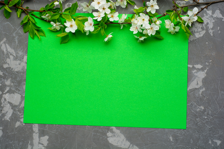 Green paper background with cherry tree blossom. Flat lay with spring elements and copy spaceの写真素材