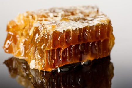 Honeycomb close up isolated on the white background .