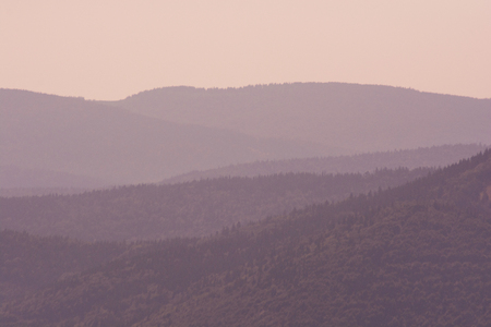 Forested mountain slope in low lying cloud with the evergreen conifers shrouded in mist in a scenic landscape viewの写真素材