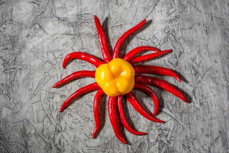 Red hot chili pepper pod close - up on grey concrete background. Selective focus and copy spaceの写真素材