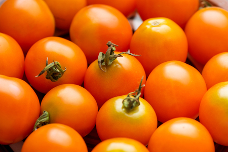 Cherry tomatoes for background, cherry tomatoes for wallpaperclose up.の写真素材