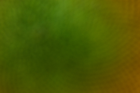Natural background , blurred abstract backgroudの写真素材