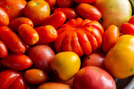 Flat-lay of fresh colorful ripe Fall or Summer heirloom tomatoes variety over rustic background, top view.の写真素材