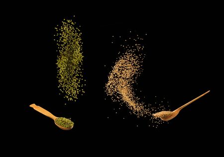 Zero gravity food concept. Mung beans and mustard seeds splashing isolated on black background. Healthy food.の写真素材