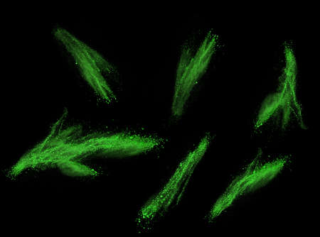 colorful powder splash on black backgroundの写真素材