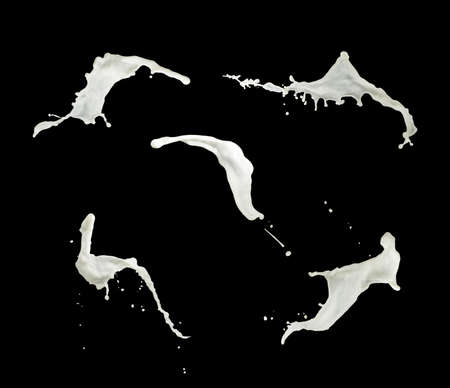 Milk splashes collection, isolated on black backgroundの写真素材