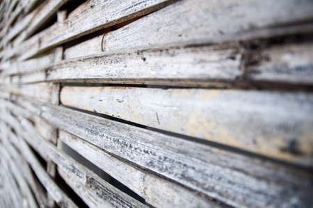 bambooの写真素材