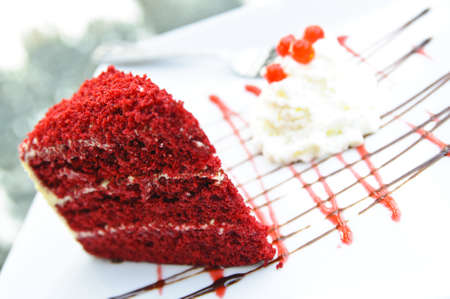 red berryの写真素材