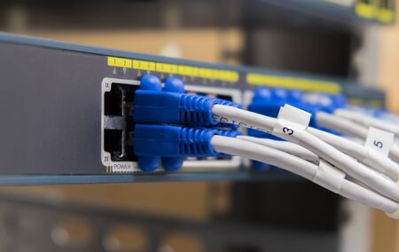 Lan utp cable plug in network switch