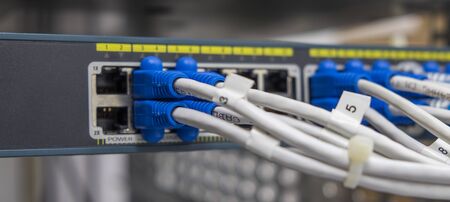 Lan utp cable plug in network switch
