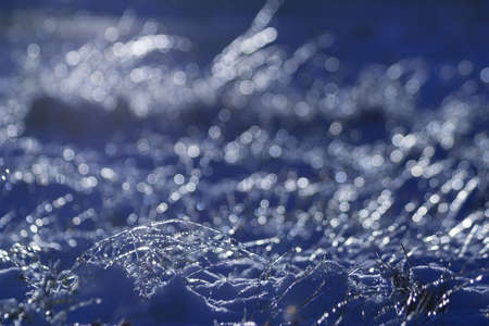 winter rain frozen on grass