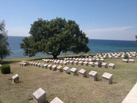 cemeteryの写真素材