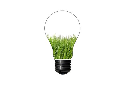 Bulb with grass inside isolated on white background , green eco conceptの写真素材