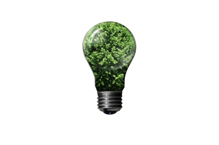 Bulb with tree isolated on white background , green eco conceptの写真素材