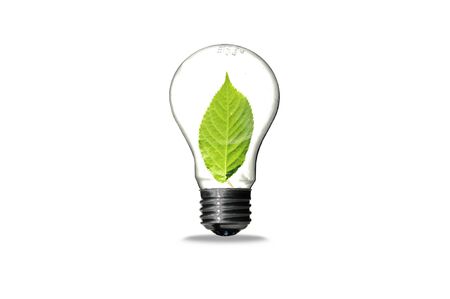 Bulb with leaf isolated on white background , green eco conceptの写真素材