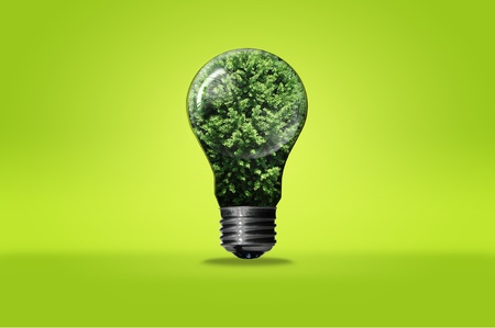 Bulb with tree isolated on white background , green eco conceptの写真素材
