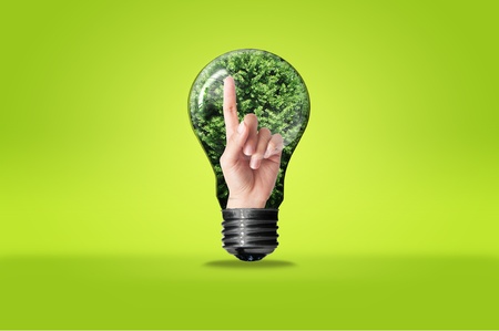 Bulb with tree isolated on white background , green eco conceptの写真素材