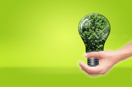 hand holding Bulb with tree inside isolated on green white background , green eco conceptの写真素材