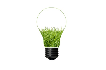 Bulb with grass inside isolated on white background , green eco conceptの写真素材