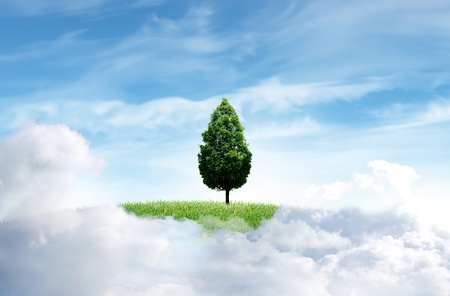 Green grass with tree and cloud sky backgroundの写真素材