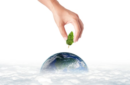 hand holding green tree for green eco conceptの写真素材