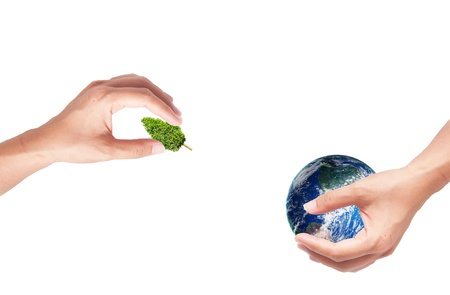 hand holding green tree for green eco conceptの写真素材
