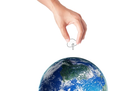 hand holding tree for green eco conceptの写真素材