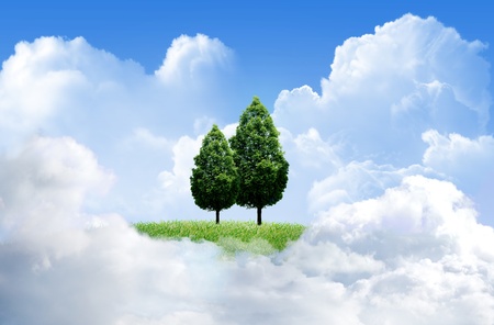 Green grass with tree and cloud sky backgroundの写真素材