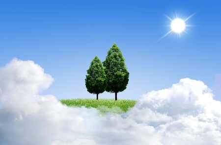 Green grass with tree and cloud sky backgroundの写真素材
