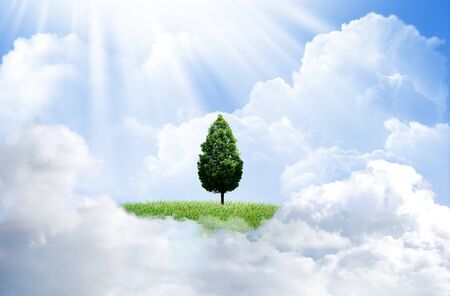 Green grass with tree and cloud sky backgroundの写真素材