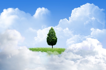 Green grass with tree and cloud sky backgroundの写真素材