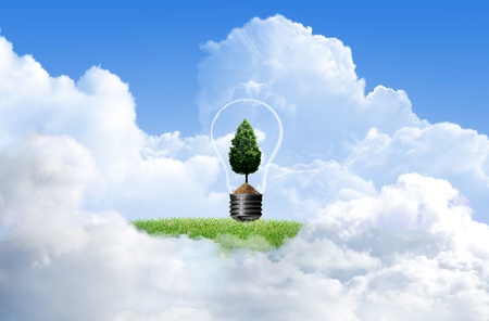 Green grass with tree and cloud sky backgroundの写真素材