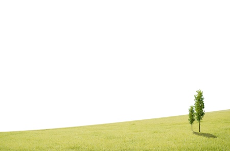field landscape with trees and white background spaceの写真素材