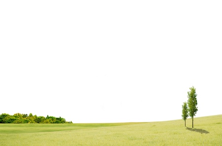 field landscape with trees and white background spaceの写真素材
