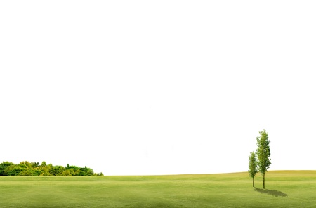 field landscape with trees and white background spaceの写真素材