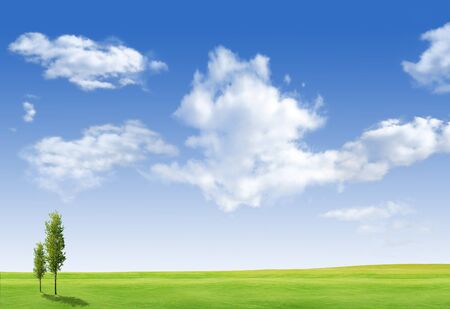 Beautiful landscape with tree,  grass green field and blue skyの写真素材
