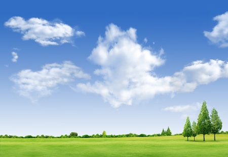 Beautiful landscape with tree,  grass green field,forrest  and blue skyの写真素材