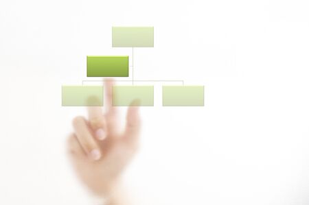 Hand showing organization chart isolated  on white backgroundの写真素材