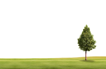 field landscape with trees isolated on white backgroundの写真素材