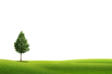 field landscape with trees isolated on white backgroundの写真素材