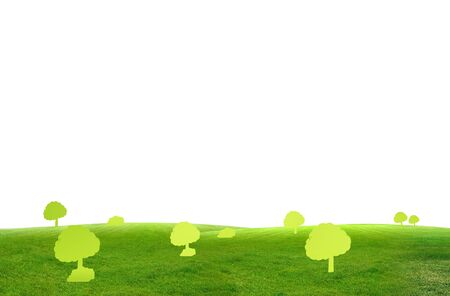 Green Tree on green field の写真素材